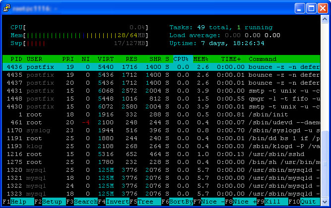 htop_main.jpg