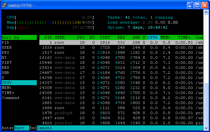 htop_sort.png