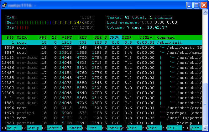 htop_tree.jpg