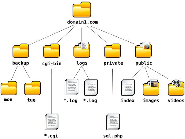 layout2.jpg